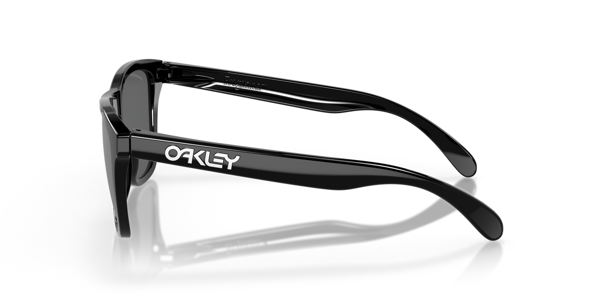 Oakley Frogskins Sunglasses