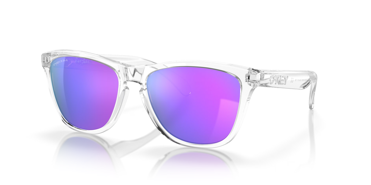 Oakley Frogskins Sunglasses