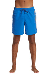 Quiksilver Mens Everyday Vert Volley 17" Swim Shorts