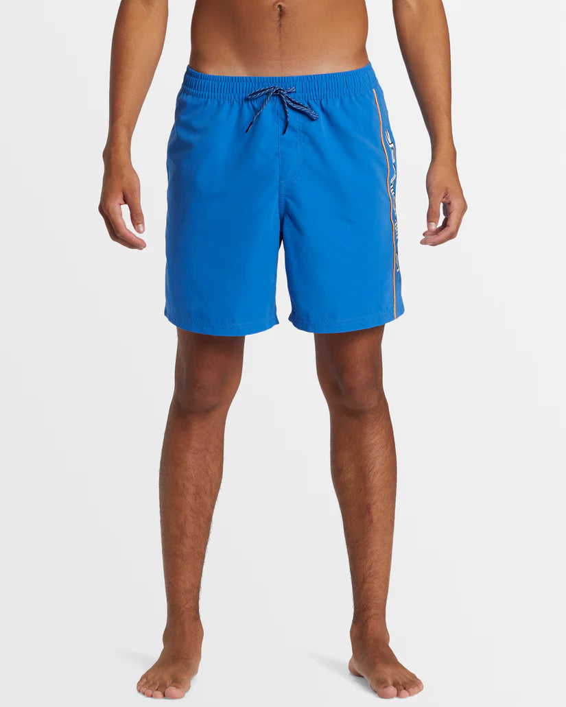 Quiksilver Mens Everyday Vert Volley 17" Swim Shorts