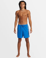 Quiksilver Mens Everyday Vert Volley 17" Swim Shorts