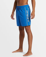 Quiksilver Mens Everyday Vert Volley 17" Swim Shorts