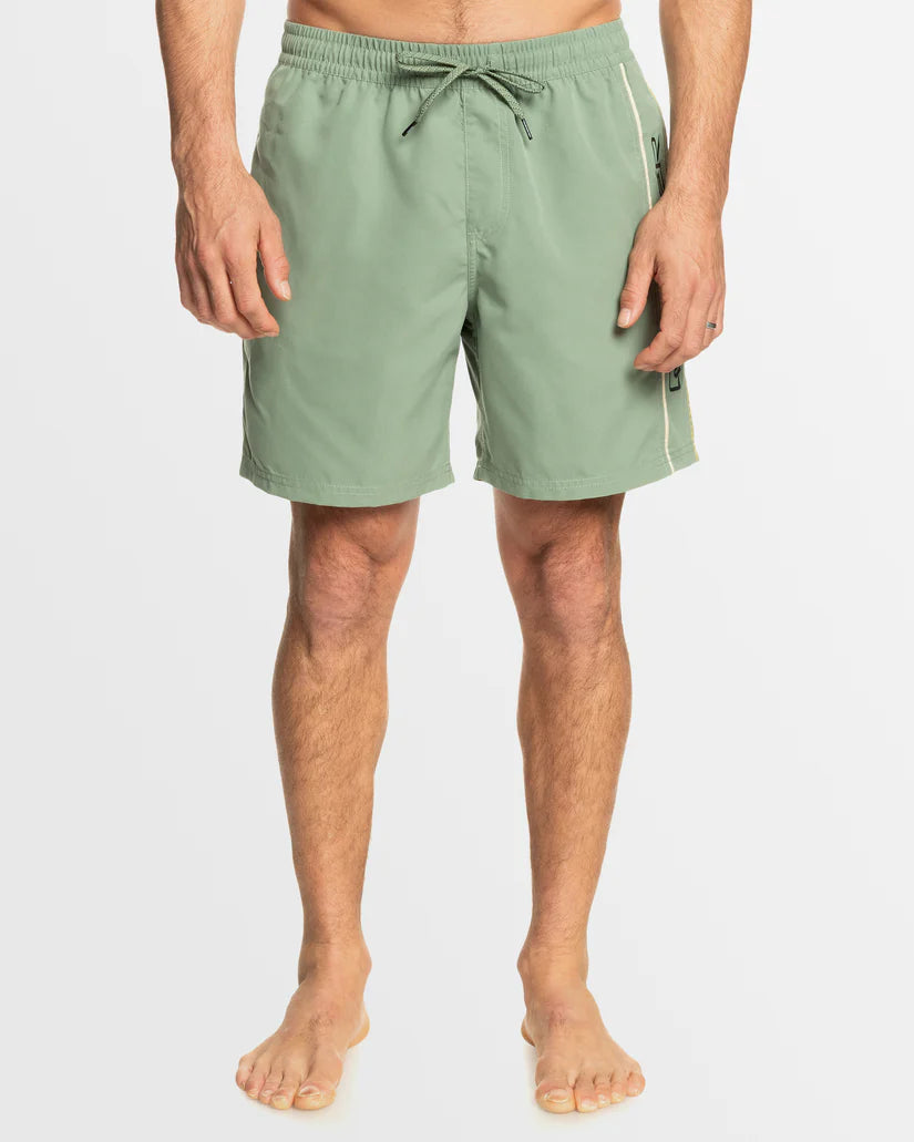 Quiksilver Mens Everyday Vert Volley 17" Swim Shorts