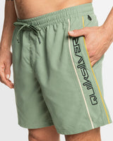 Quiksilver Mens Everyday Vert Volley 17" Swim Shorts