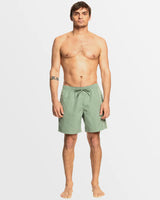 Quiksilver Mens Everyday Vert Volley 17" Swim Shorts