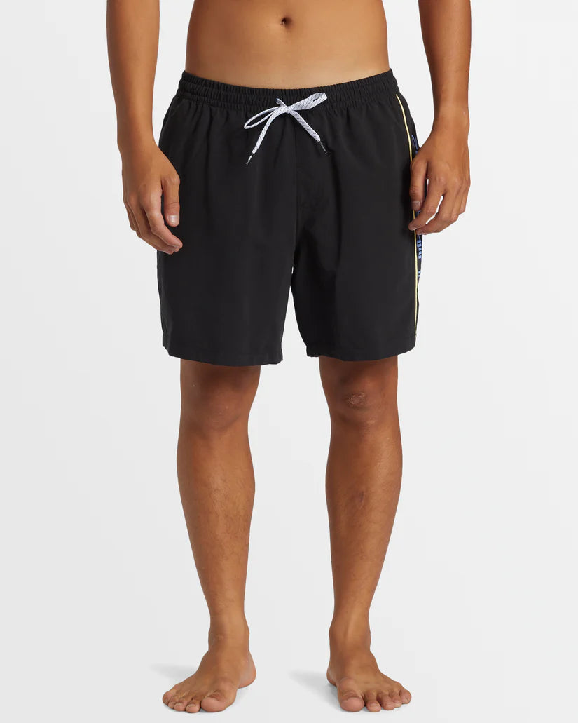 Quiksilver Mens Everyday Vert Volley 17" Swim Shorts