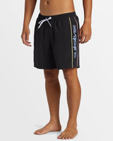 Quiksilver Mens Everyday Vert Volley 17" Swim Shorts