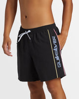 Quiksilver Mens Everyday Vert Volley 17" Swim Shorts