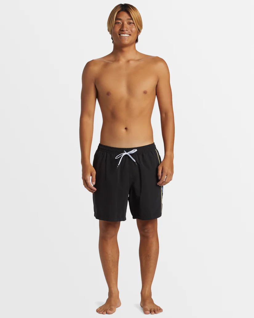 Quiksilver Mens Everyday Vert Volley 17" Swim Shorts