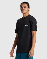 Quiksilver Mens Everyday Surf Short Sleeve UPF 50 Surf T-Shirt